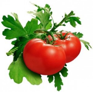 tomate-bio-antioxydant-peau-naturel-puissant-culture-recette-sauce-acheter-planter-sechees-semis-fruit-legume (48) La tomate et la nutrition