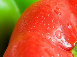 La tomate riche en antioxydant puissant naturel