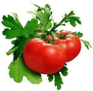 La tomate et la nutrition