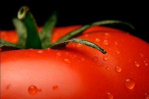 La tomate riche en nutriments et antioxydants puissants
