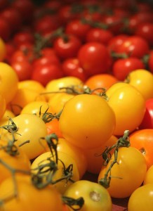Le lycopène antioxydant puissant dans la tomate bio
